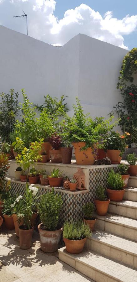 Casa Rural Los Danzantes Fuente-Tojar Екстер'єр фото