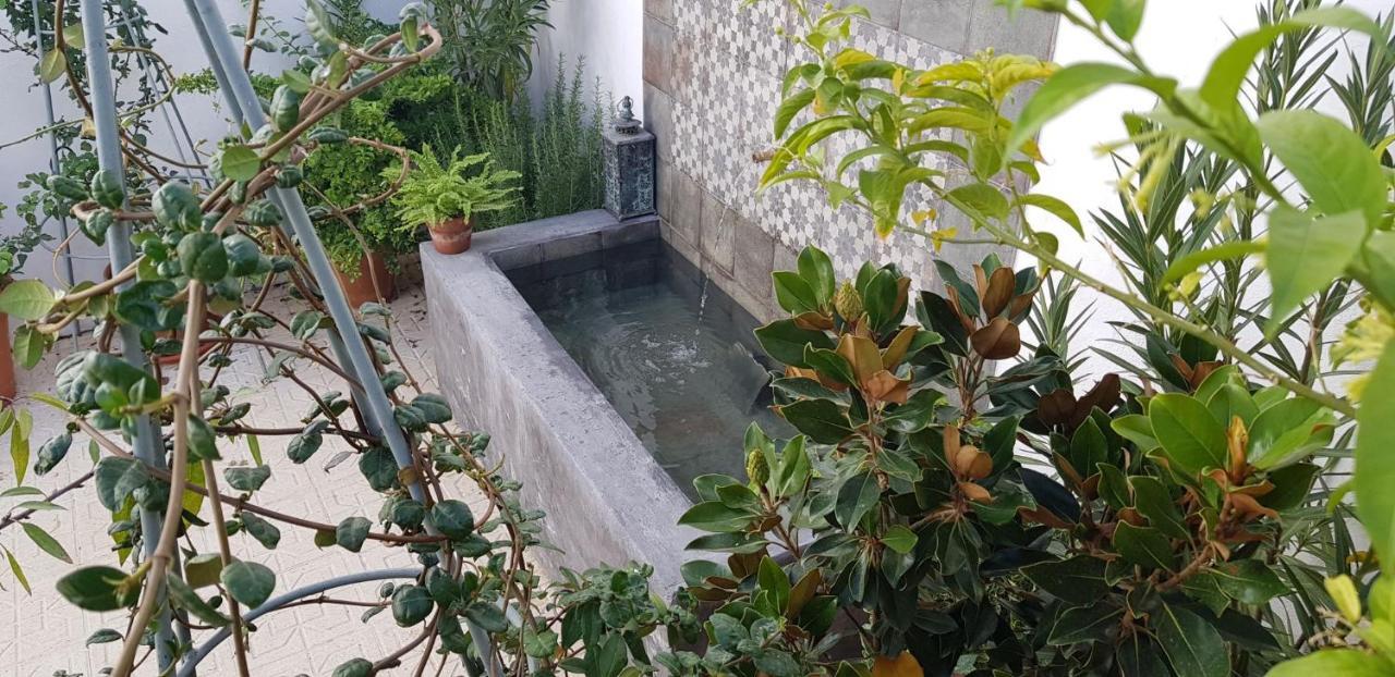 Casa Rural Los Danzantes Fuente-Tojar Екстер'єр фото
