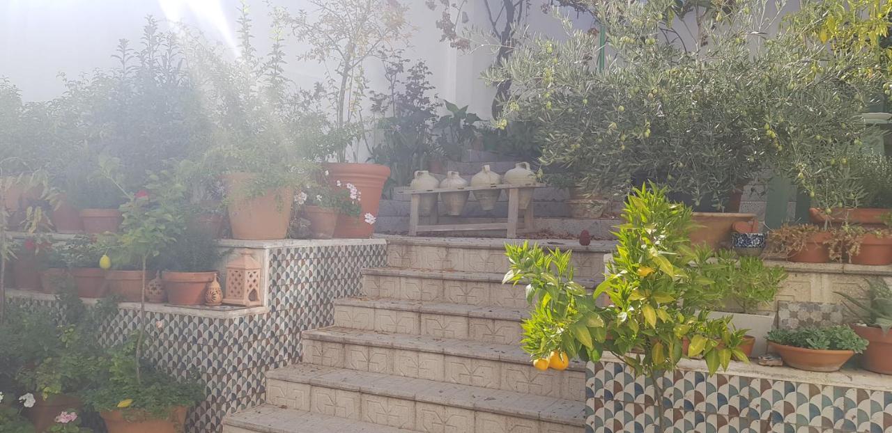 Casa Rural Los Danzantes Fuente-Tojar Екстер'єр фото